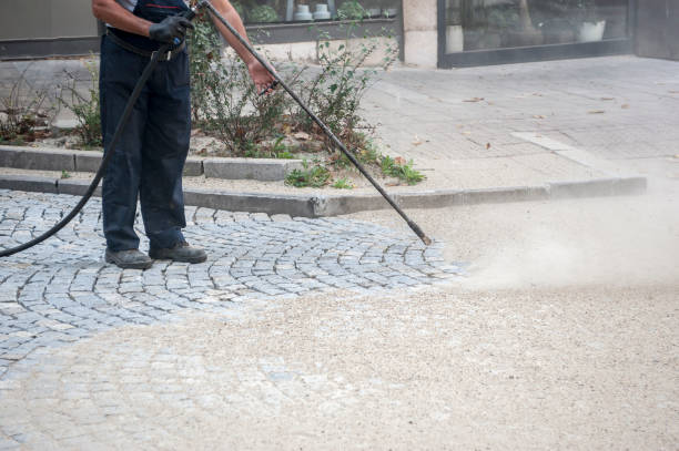 Best Fence Cleaning  in Grosse Pointe, MI